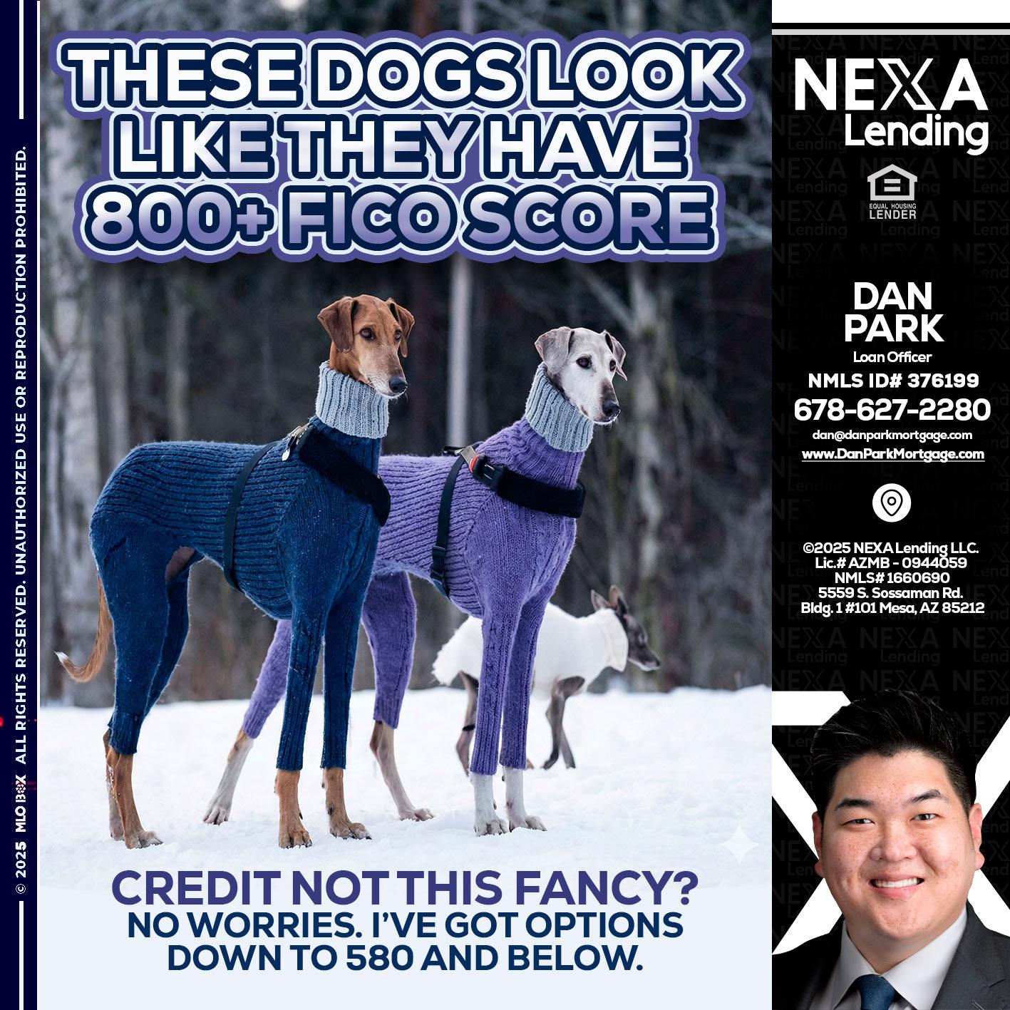 THESE DOGS LOOK - Dan Park -Mortgage Loan Originator